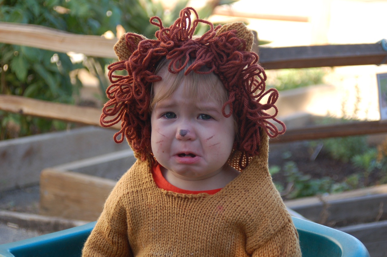 http://lala.adnohr.net/myimages/halloween2.jpg